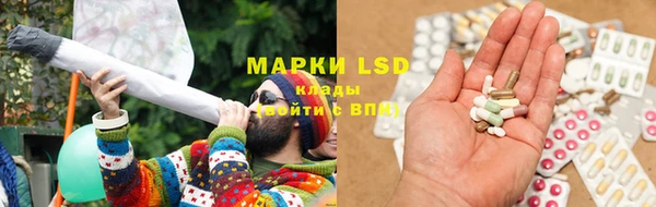 метадон Богданович