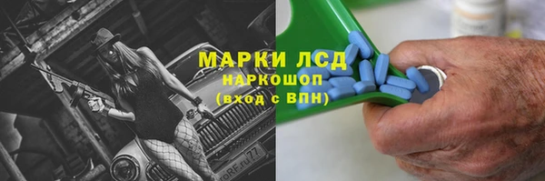 метадон Богданович