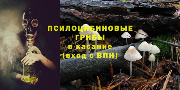 метадон Богданович