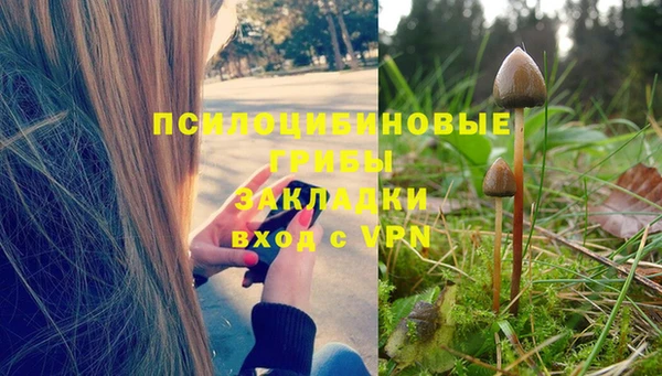метадон Богданович