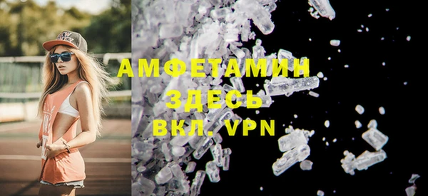 метадон Богданович