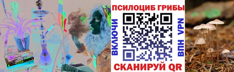 магазин    Киреевск  Псилоцибиновые грибы GOLDEN TEACHER 